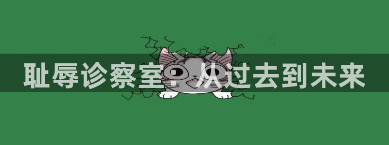 囧次元正版免费下载：耻辱诊察室：从过去到未来