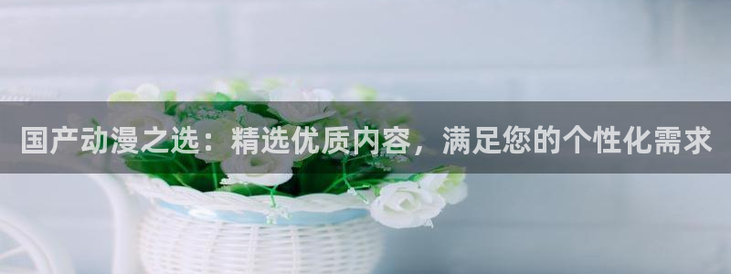 囧次元app下载官网版：国产动漫之选：精选优质内容，满足您的个性化需求