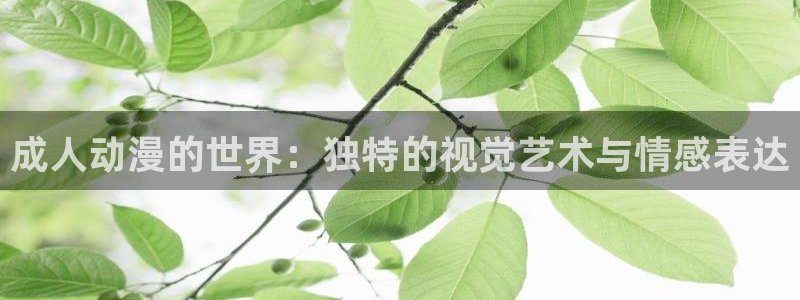 囧次元旧版