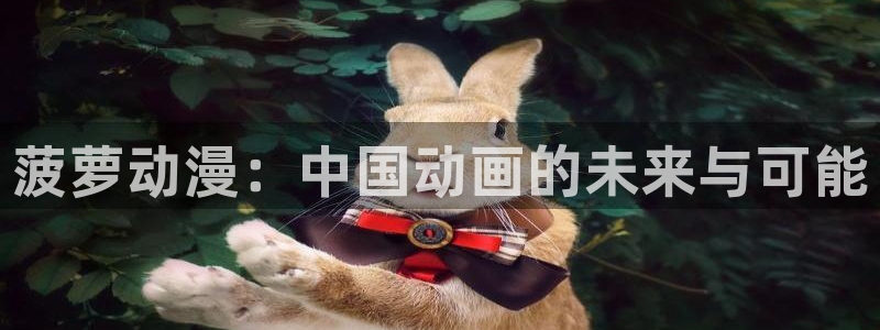 囧次元网页版：菠萝动漫：中国动画的未来与可能
