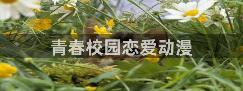 囧次元 官网：青春校园恋爱动漫
