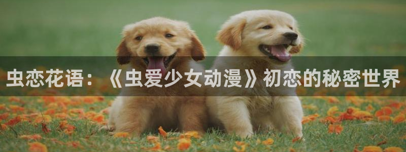 免费下载囧次元：虫恋花语：《虫爱少女动漫》初恋的秘密世界