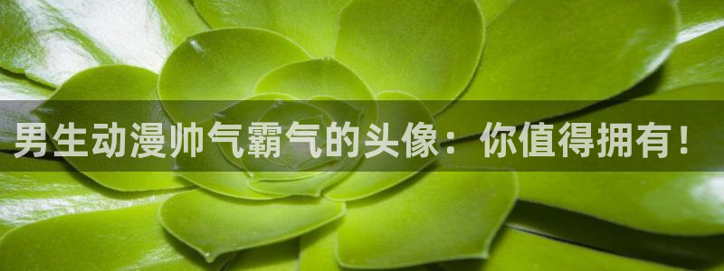 免费下载囧次元