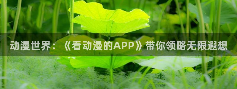 囧次元官方下载正版：动漫世界：《看动漫的APP》带你领略无限遐想