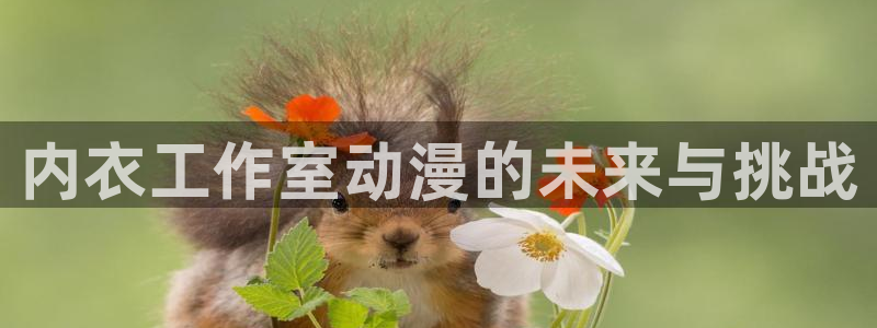 囧次元网页