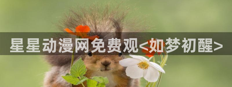 囧次元动漫app正版
