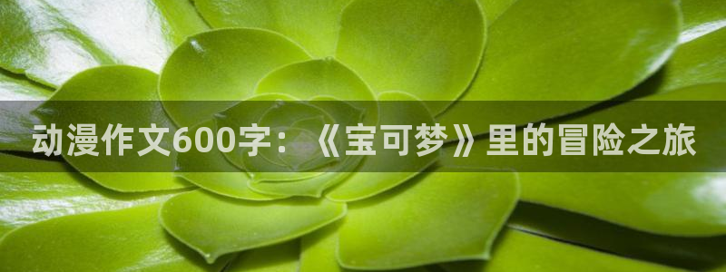 囧次元老版本：动漫作文600字：《宝可梦》里的冒险之旅