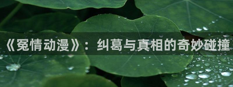 囧次元下载网站：《冤情动漫》：纠葛与真相的奇妙碰撞