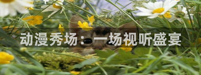 囧次元app下载官方版