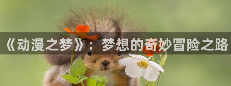 囧次元是哪个公司的