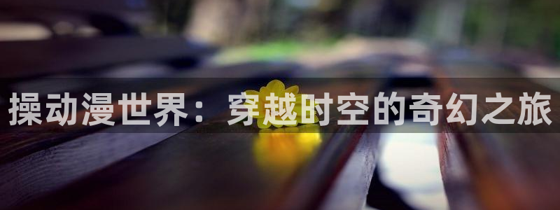 囧次元正版入口