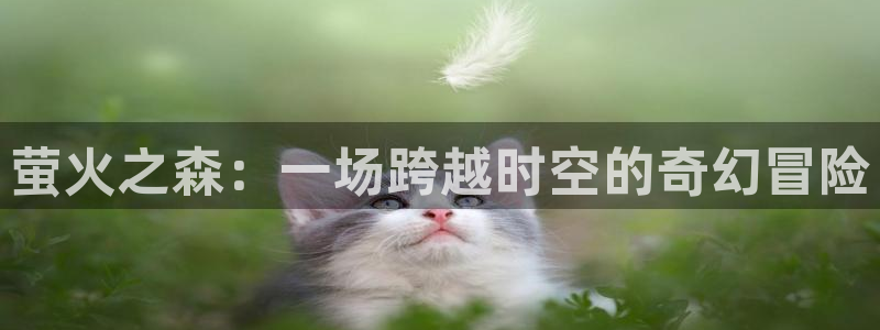 囧次元下载入口