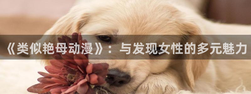囧次元是哪个公司的