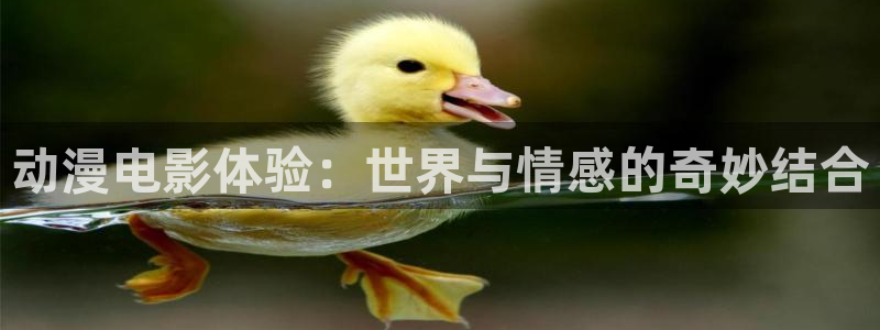 囧次元app官方正版：动漫电影体验：世界与情感的奇妙结合
