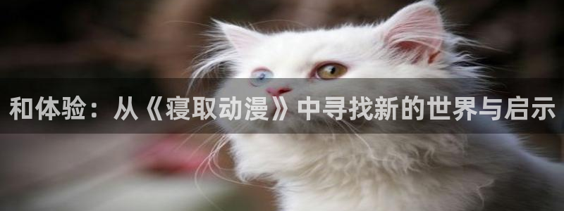 囧次元网页版在线：和体验：从《寝取动漫》中寻找新的世界与启示