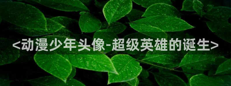囧次元app下载