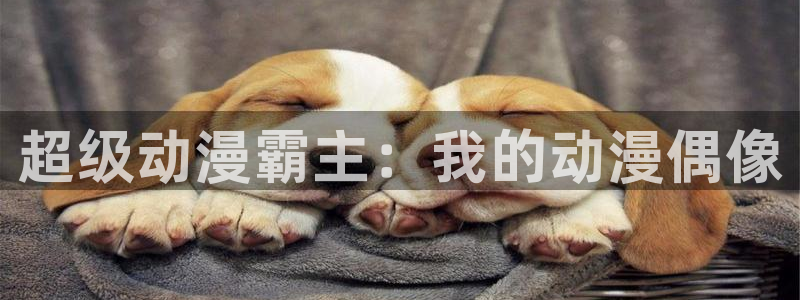 囧次元a：超级动漫霸主：我的动漫偶像