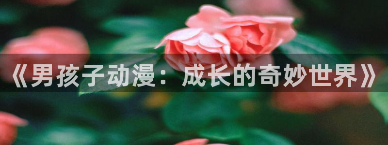 囧次元最新版下载官方正版：《男孩子动漫：成长的奇妙世界》